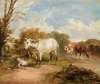 Pastoral Scene with Horse