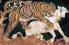 Tiger attacking a calf