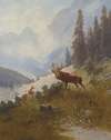 Röhrender Hirsch im Gebirge