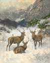 A Deer Herd in Winter