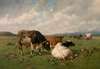 Cattle in the Meadow