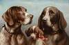 Family of German Shorthaired Pointers
