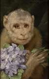 Monkey with a bouquet of violets 