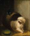 A Puppy in a Barrel