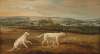 Blush and Juno, English Setters in an extensive landscape