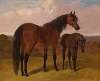 A mare and foal in a landscape