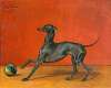 A Greyhound or Italian Sighthound with Ball