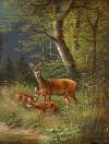 A Family of Red Deer in a Forest Glade