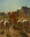 Vaches et moutons rentrant à la ferme; effet de soleil
