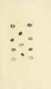 The mineral conchology of Great Britain Pl.270