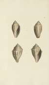 The mineral conchology of Great Britain Pl.282