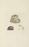 The mineral conchology of Great Britain Pl.554