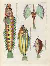 Poissons, ecrevisses et crabes, de diverses couleurs et figures extraordinaires.. Pl.054