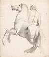 Horseman of Montecavallo