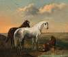 A white horse and a bay horse in a puszta landscape