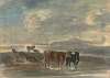 Horses and cows in a hilly landscape