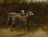Two Bedlington terriers (Champion Breakwater Squire and Champion Breakwater Girl)