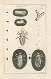 The book of nature, or, The history of insects Pl.01