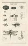 The book of nature, or, The history of insects Pl.12