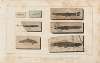 Recherches sur les poissons fossiles Pl.072