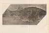Recherches sur les poissons fossiles Pl.173