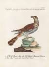 Ornithologia methodice digesta Pl.068