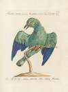 Ornithologia methodice digesta Pl.159