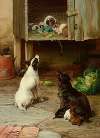 Two Terriers Studying a Hutch of Guinea Pigs