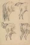 Four Sketches of Hind Quarters of Horse
