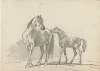 Fourty-three Studies of Horses and Riders Pl.08