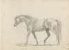 Fourty-three Studies of Horses and Riders Pl.10