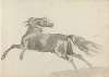 Fourty-three Studies of Horses and Riders Pl.11