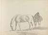 Fourty-three Studies of Horses and Riders Pl.19