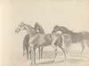 Fourty-three Studies of Horses and Riders Pl.40