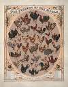 The poultry of the world–Portraits of all known valuable breeds of fowls