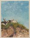 Goats on a Hill