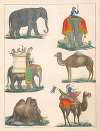 Natural History (Galerya obrazowa zwiérząt czyli Historya naturalna) Pl.01