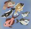 Images à colorier, Des Poissons Pl.07