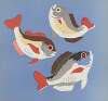 Images à colorier, Des Poissons Pl.13