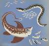 Images à colorier, Des Poissons Pl.15