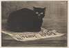 Chat noir sur un journal