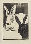Les lapins