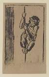 Singe grimpant à la corde
