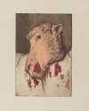 Tête de mouton