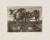 Les vaches