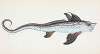 Sea Monster, Chimera Monstrosa
