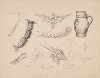 Fungi, the magnified leg of a fly, studies of a privet hawk moth and its life-cycle, a jug, a gazelle’s head and rabbits