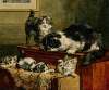 Cats Playing