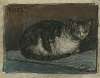 De poes