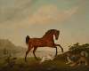 A prancing horse with two dogs, in a landscape
